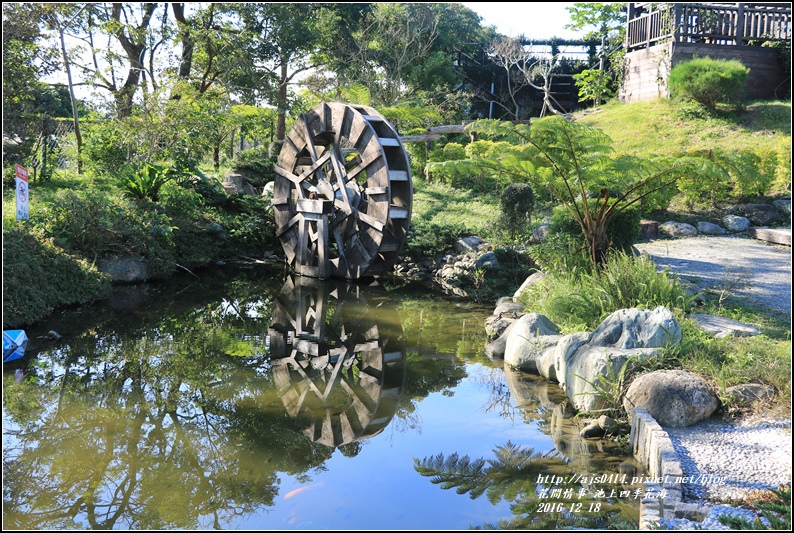 池上四季花海-2016-12-30.jpg