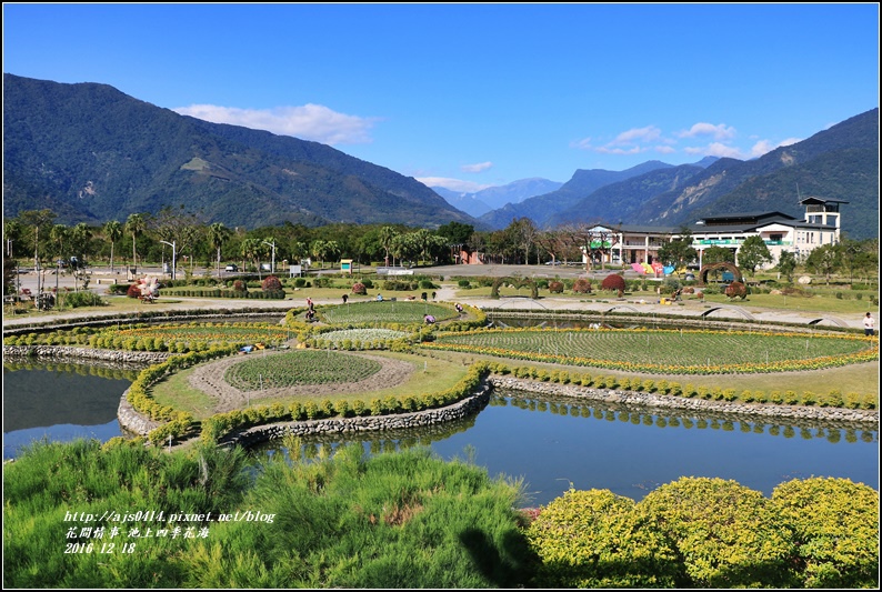 池上四季花海-2016-12-32.jpg