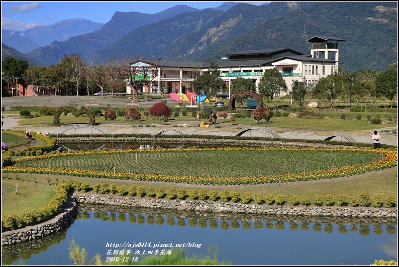 池上四季花海-2016-12-34.jpg