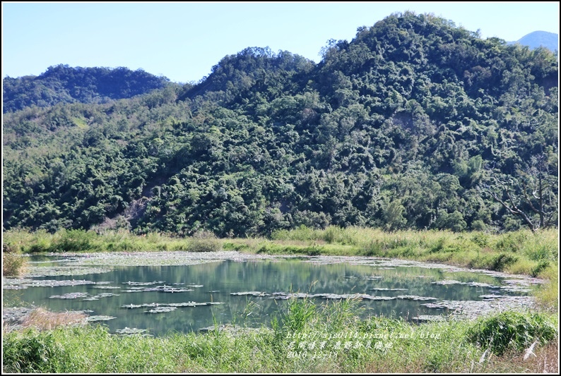 鹿野新良濕地-2016-12-24.jpg