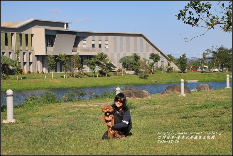 臺東大學圖書資訊館-2016-12-27.jpg