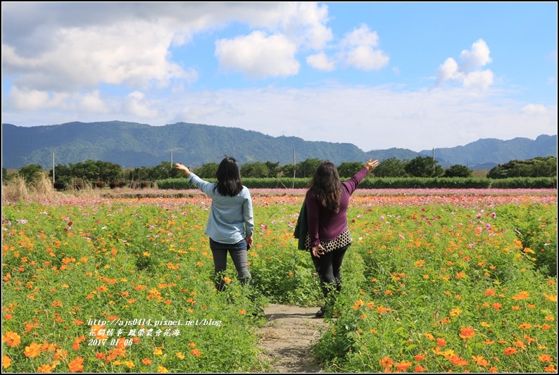 鳳榮農會花海-2017-01-04.jpg 鳳榮農會花海-2017-01-04.jpg