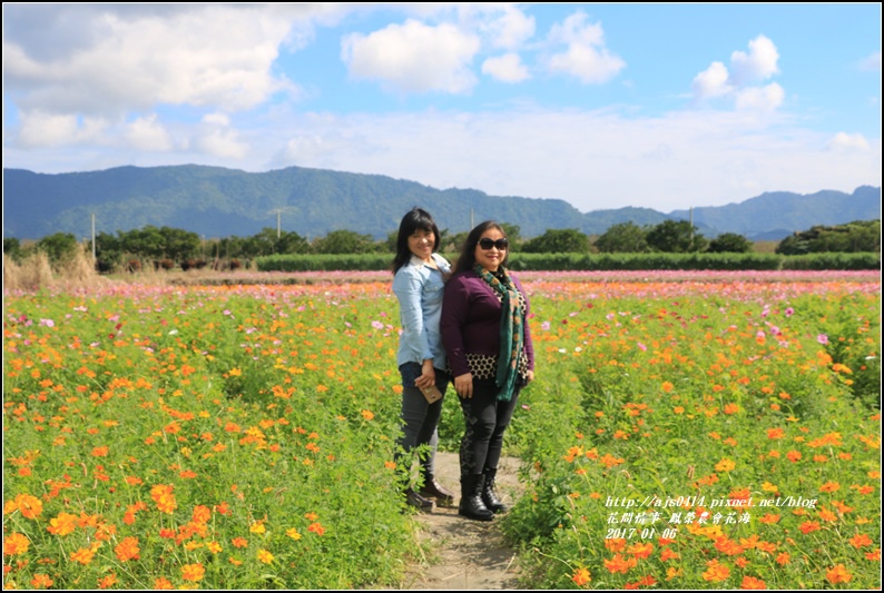 鳳榮農會花海-2017-01-05.jpg