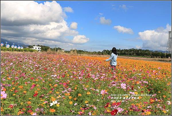 鳳榮農會花海-2017-01-08.jpg