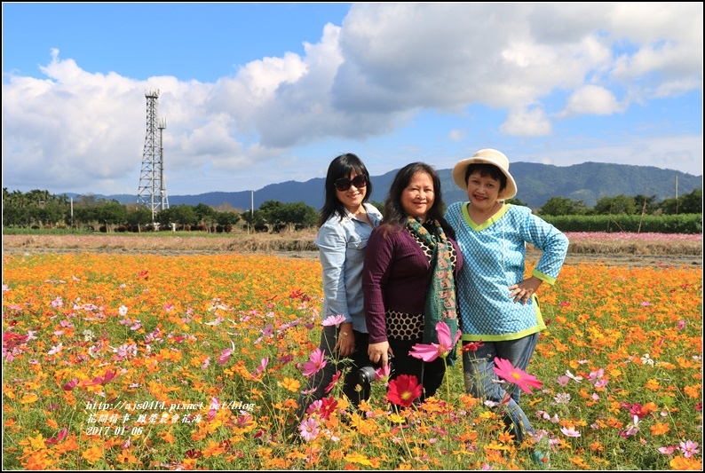 鳳榮農會花海-2017-01-16.jpg