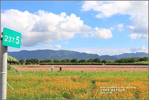 鳳榮農會花海-2017-01-24.jpg