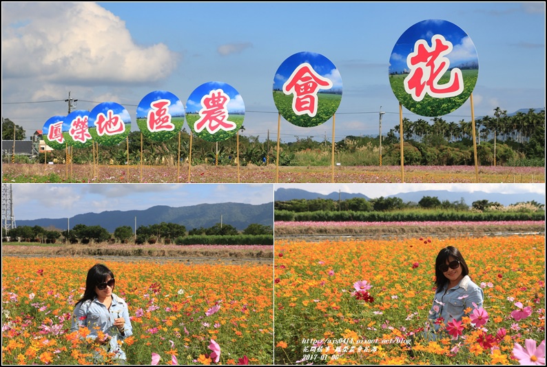 鳳榮農會花海-2017-01-25.jpg 鳳榮農會花海-2017-01-25.jpg