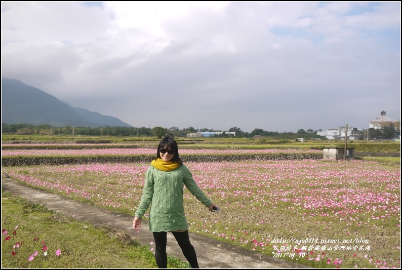 縱管處羅山管理站旁花海-2017-01-10.jpg