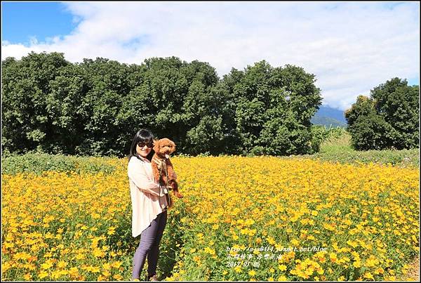 壽豐花海-2017-01-12.jpg