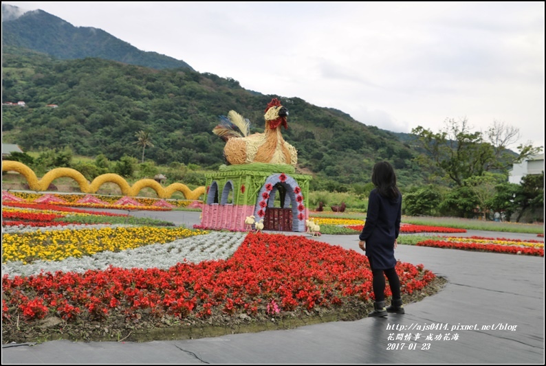 成功花海-2017-01-02.jpg