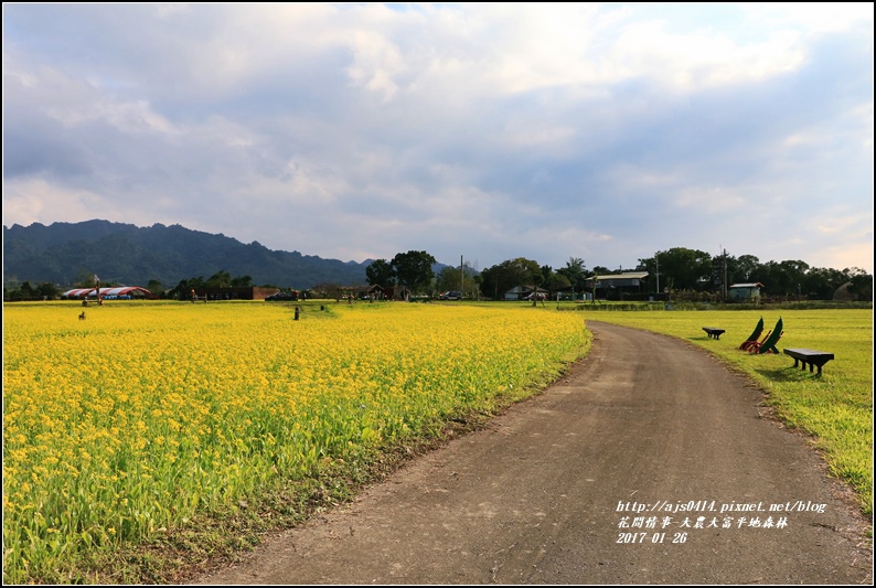 大農大富平地森林-2017-01-24.jpg