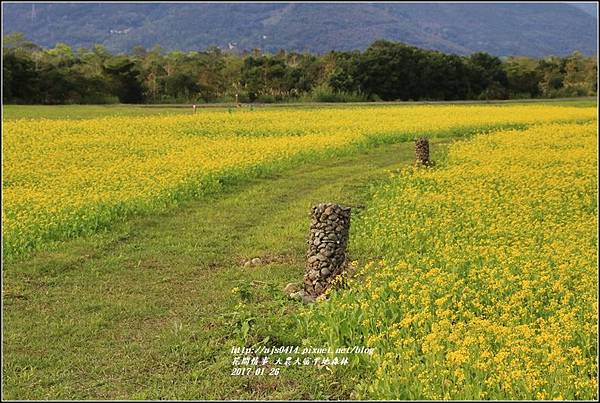 大農大富平地森林-2017-01-32.jpg