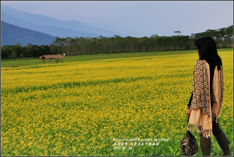 大農大富平地森林-2017-01-36.jpg