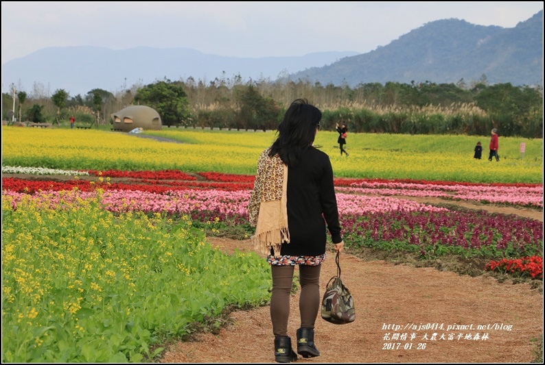 大農大富平地森林-2017-01-41.jpg