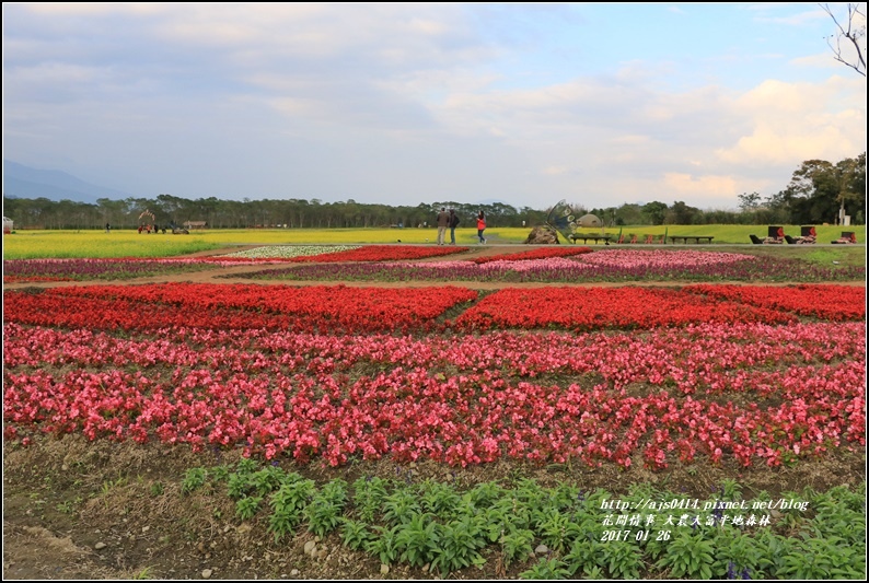 大農大富平地森林-2017-01-45.jpg