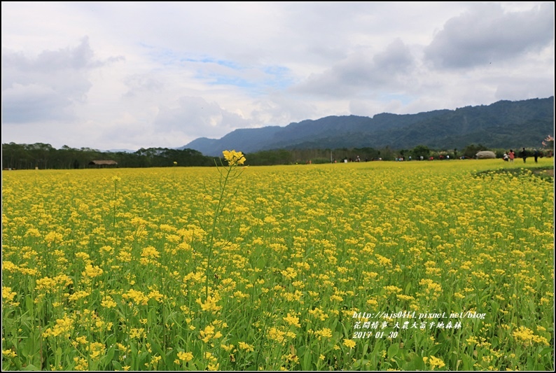 大農大富平地森林-2017-01-77.jpg