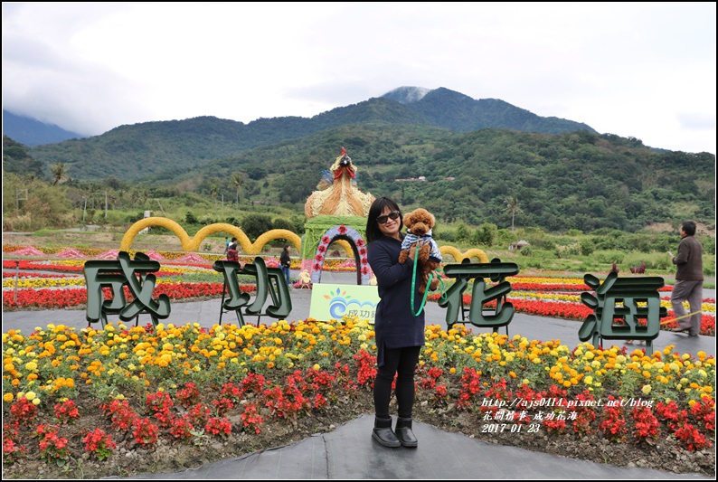 成功花海-2017-01-14.jpg