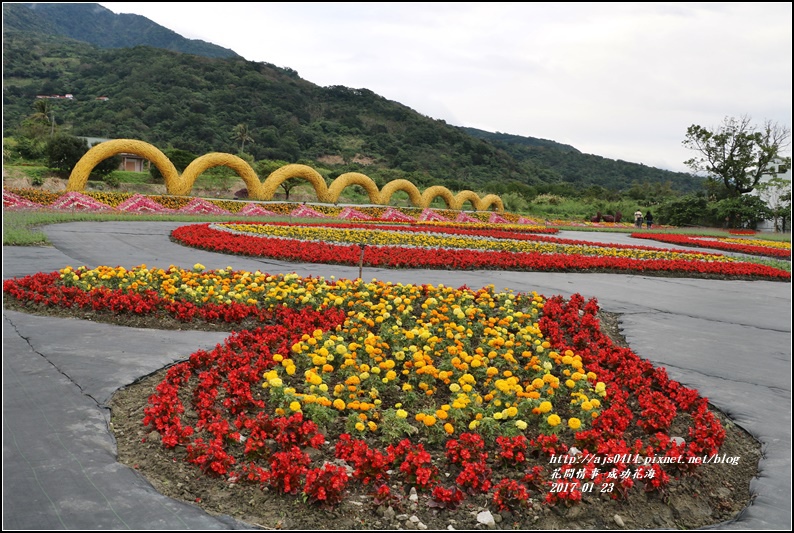 成功花海-2017-01-19.jpg