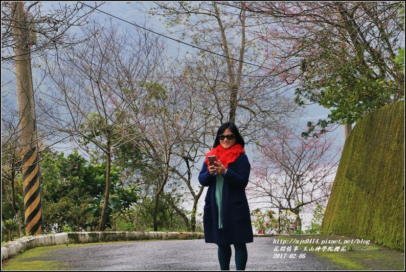 玉山神學院櫻花-2017-01-09.jpg