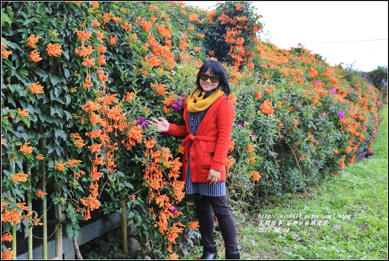 富興社區炮仗花隧道-2017-02-05.jpg