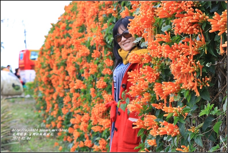 富興社區炮仗花隧道-2017-02-27.jpg