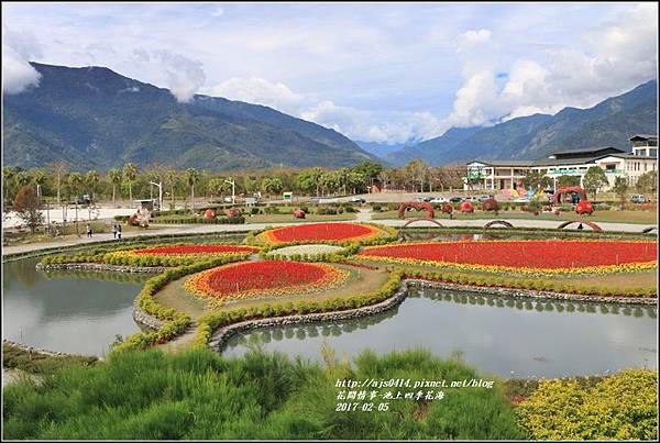 池上四季花海-2017-02-01.jpg