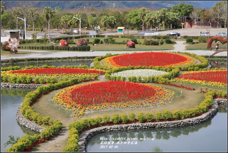 池上四季花海-2017-02-03.jpg