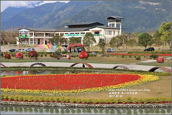 池上四季花海-2017-02-04.jpg
