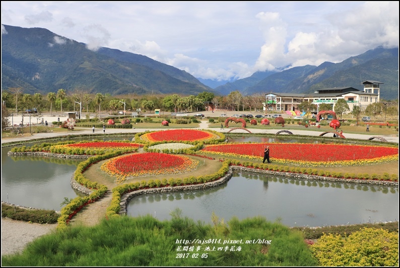 池上四季花海-2017-02-05.jpg