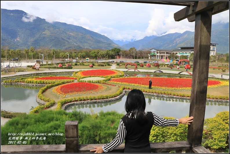 池上四季花海-2017-02-07.jpg