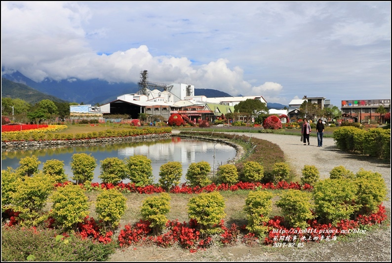 池上四季花海-2017-02-10.jpg