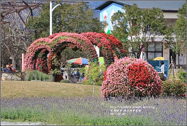 池上四季花海-2017-02-12.jpg