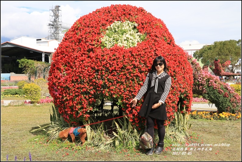 池上四季花海-2017-02-13.jpg