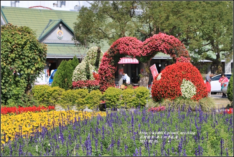 池上四季花海-2017-02-18.jpg