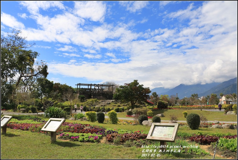 池上四季花海-2017-02-19.jpg