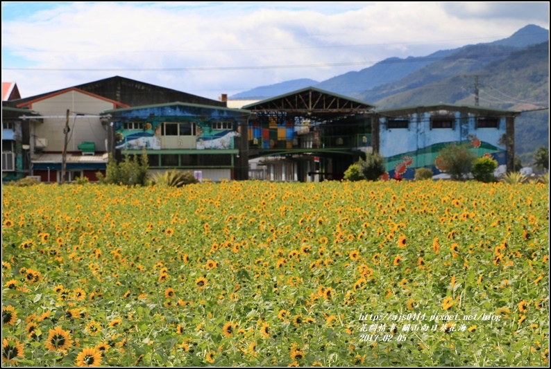 關山向日葵花海-2017-02-01.jpg 關山向日葵花海-2017-02-01.jpg
