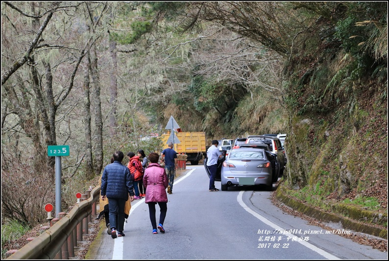 中橫公路-2017-02-03.jpg