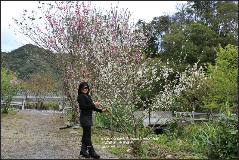 西寶國小-2017-02-08.jpg