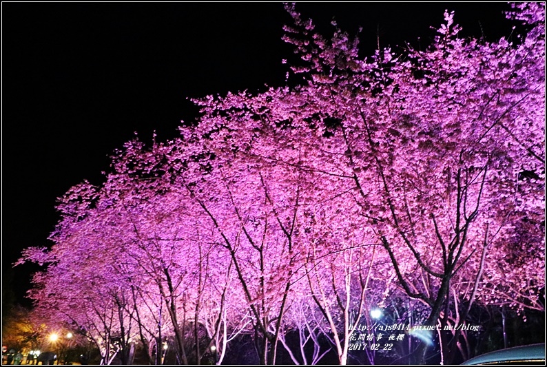 武陵農場夜櫻-2017-02-06.jpg 武陵農場夜櫻-2017-02-06.jpg