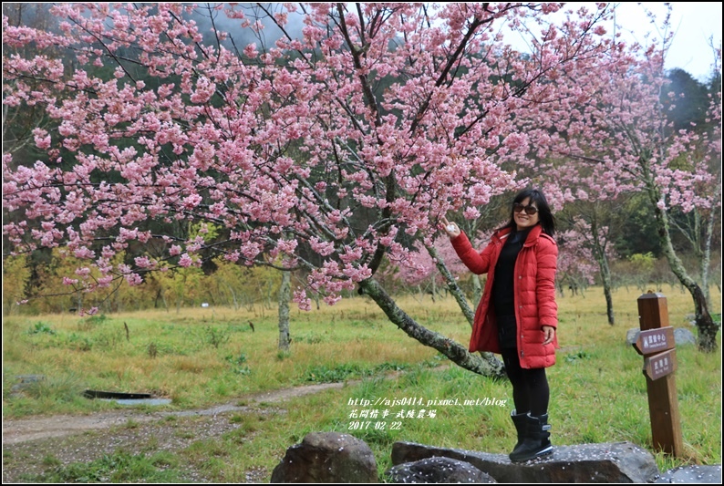 武陵農場營區-2017-02-31.jpg 武陵農場營區-2017-02-31.jpg