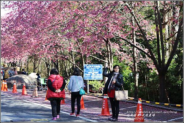 武陵農場巡櫻-2017-02-25.jpg