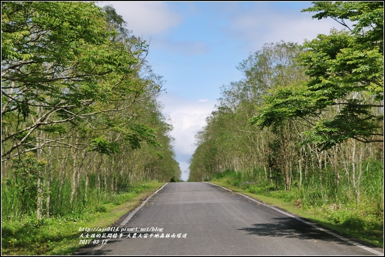 大農大富平地森林南環道-2017-03-02.jpg 大農大富平地森林南環道-2017-03-02.jpg