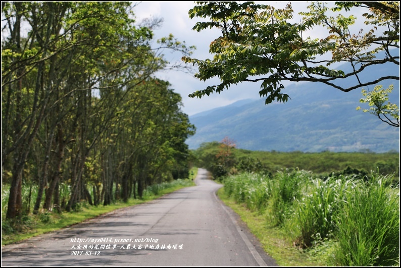 大農大富平地森林南環道-2017-03-03.jpg 大農大富平地森林南環道-2017-03-03.jpg