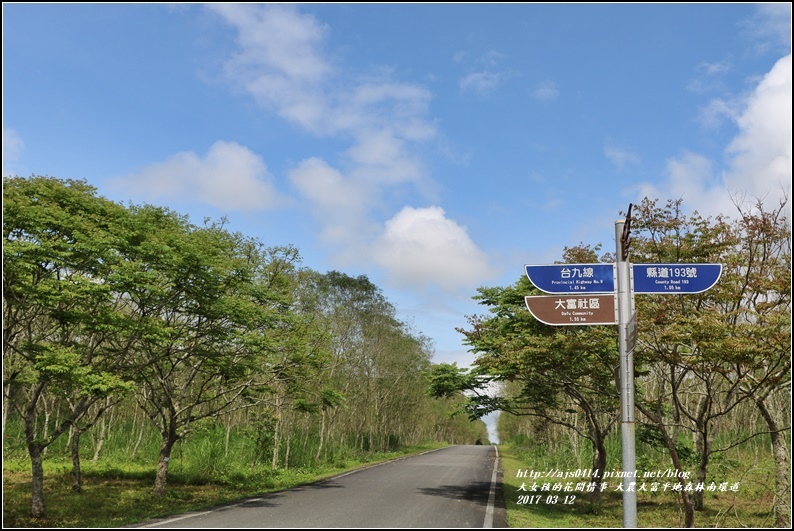 大農大富平地森林南環道-2017-03-04.jpg 大農大富平地森林南環道-2017-03-04.jpg