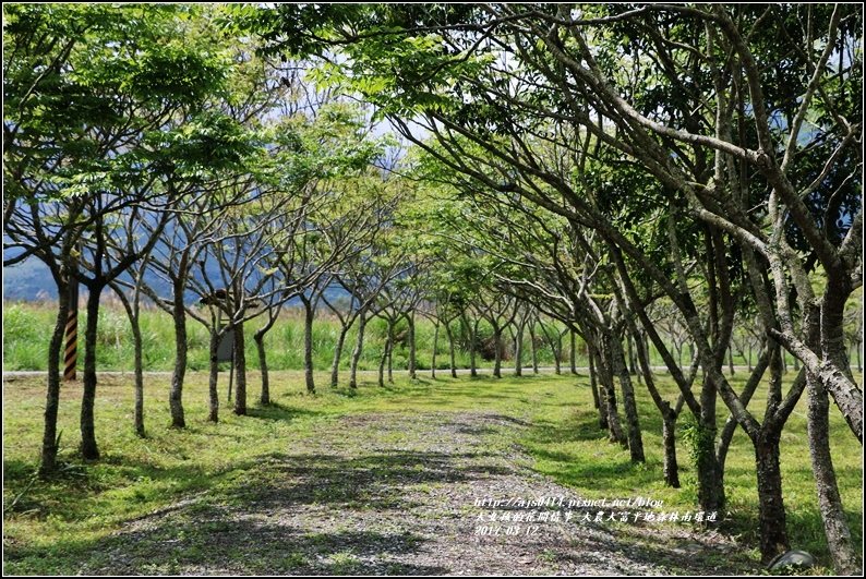 大農大富平地森林南環道-2017-03-07.jpg 大農大富平地森林南環道-2017-03-07.jpg
