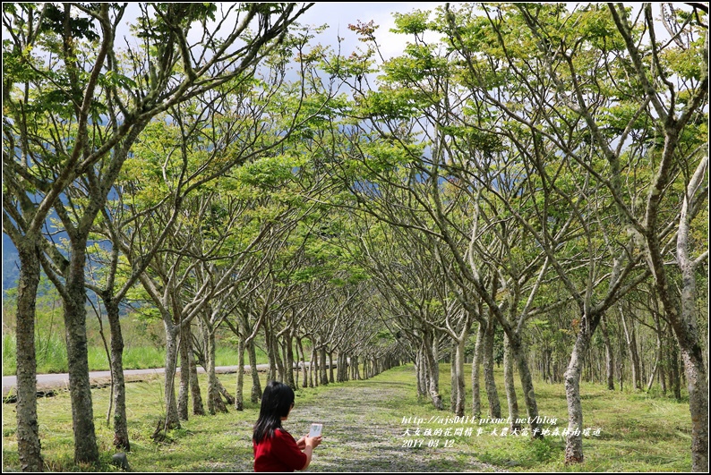 大農大富平地森林南環道-2017-03-09.jpg