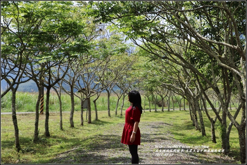 大農大富平地森林南環道-2017-03-08.jpg 大農大富平地森林南環道-2017-03-08.jpg