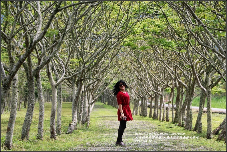 大農大富平地森林南環道-2017-03-13.jpg 大農大富平地森林南環道-2017-03-13.jpg