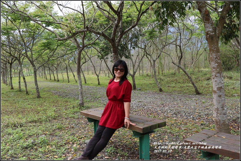 大農大富平地森林南環道-2017-03-15.jpg 大農大富平地森林南環道-2017-03-15.jpg