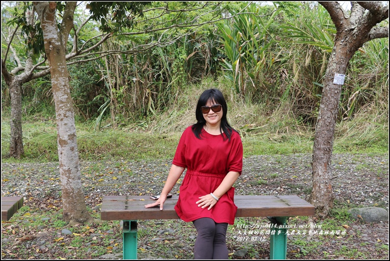 大農大富平地森林南環道-2017-03-16.jpg 大農大富平地森林南環道-2017-03-16.jpg